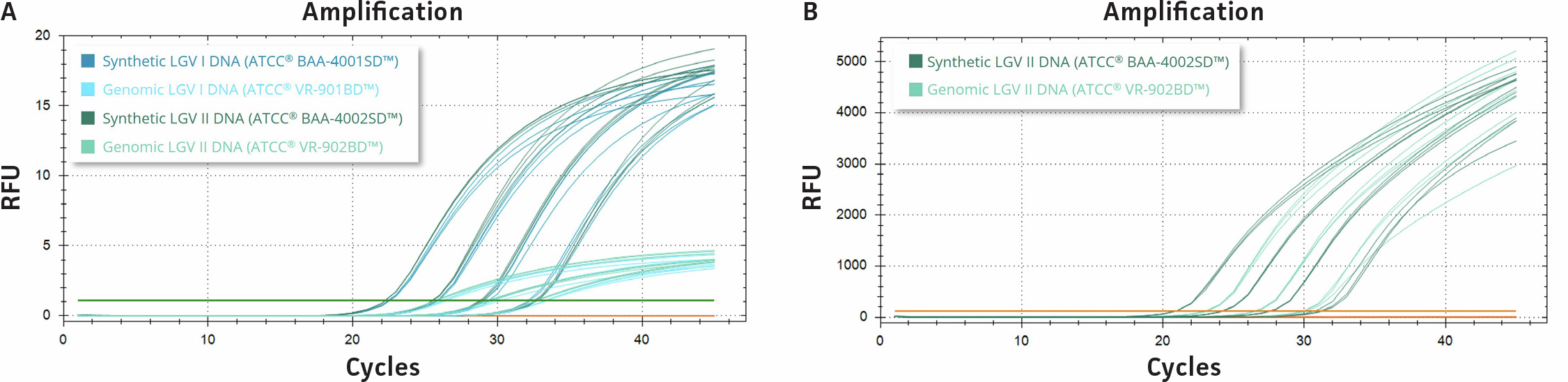 qPCR amplification plots show LGV I and LGV II synthetic and genomic Chlamydia trachomatis DNA tested using cryptic plasmid and 16S rRNA assays, with amplification across serial dilution ranges. Synthetic DNA displays amplification performance comparable to genomic DNA, with higher fluorescence observed for synthetic templates in the cryptic plasmid assay and high linearity across all templates.