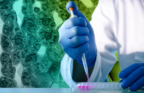Scientist using pipette to fill well-plate
