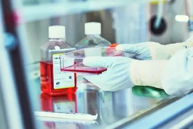 AK-240911-ATCC-cGMP-027-HR.jpg