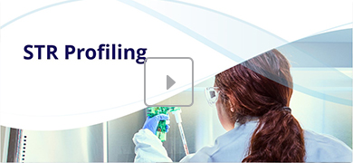 A person wearing a lab coat, safety goggles, and gloves is working with laboratory equipment in a lab setting. The text "STR Profiling" appears on the left, and a play button icon in the center suggests this is a video thumbnail.