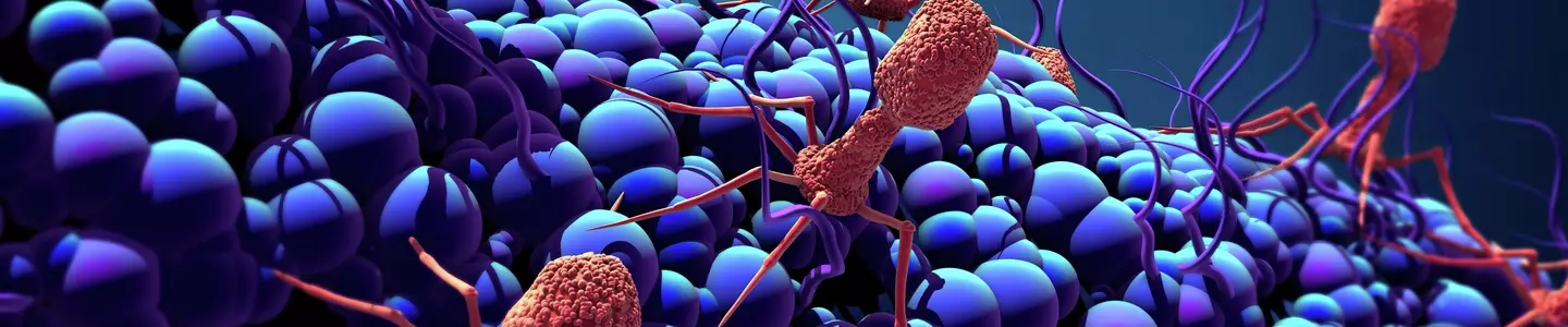 Bacteriophage iStock-992263464.jpg
