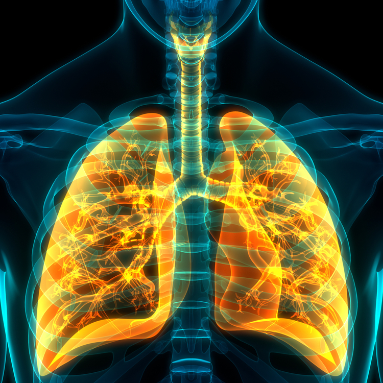 Lungs iStock-1191189866.jpg