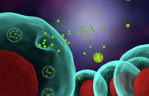 Exosomes
