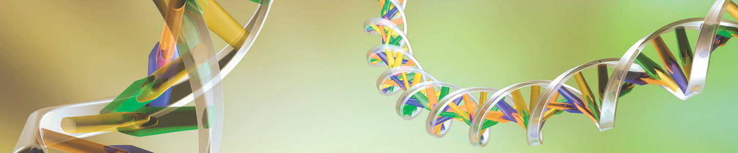 DNA double helix strands in silver, yellow and green.