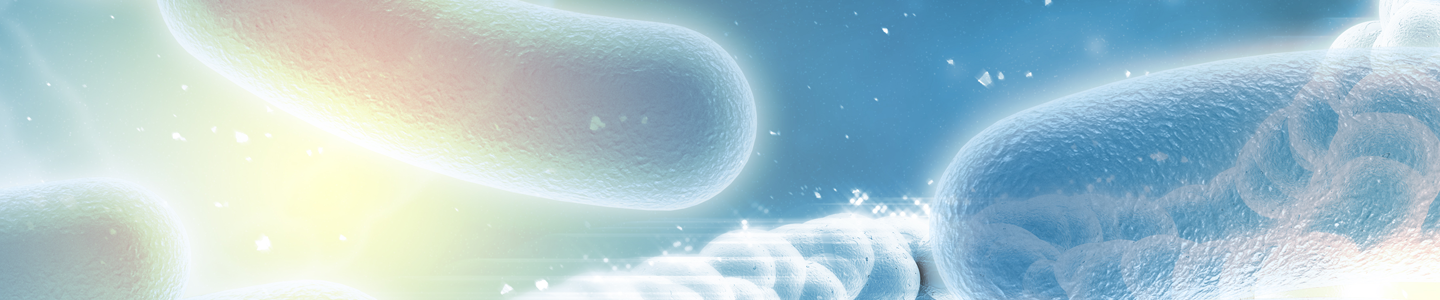 DNA rods with bacteria.