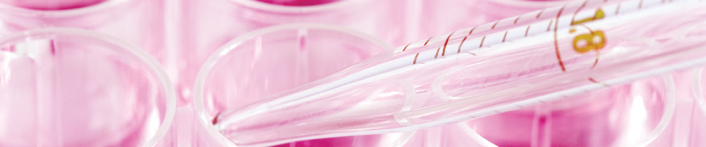 Close-up of pipette above pink media in culture well plate.