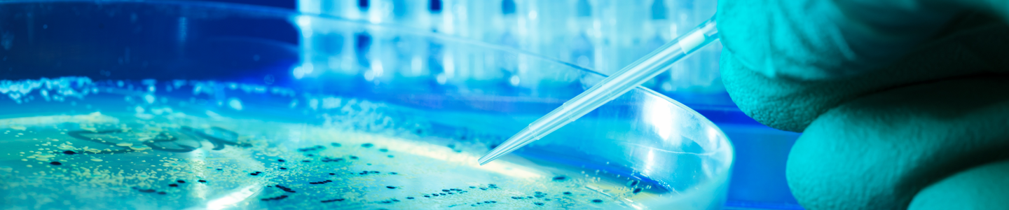 Gloved hand holding mini pipette over petri dish containing bacteria colonies