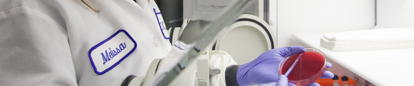 Side view of female ATCC scientist with hands in glove box using loop to streak petri dish.