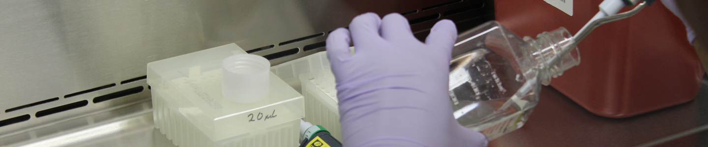 Over shoulder view of scientist with gloved hands under a hood, putting tip of pipette inside a bottle of saline.