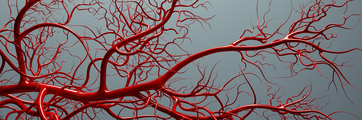 Red vascular system.