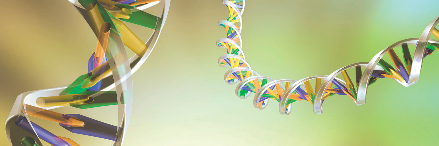 DNA double helix strands in silver, yellow and green.