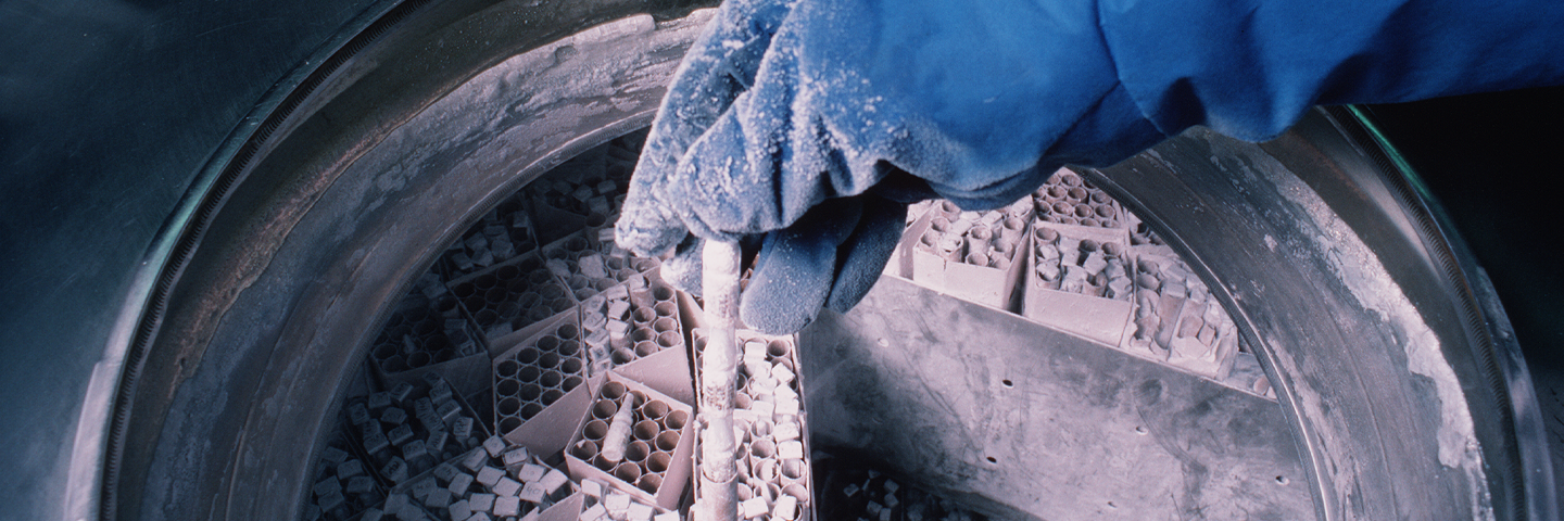 Gloved hand covered in ice, holding frozen vial, above cryopreservation tank filled with boxes of frozen vials.