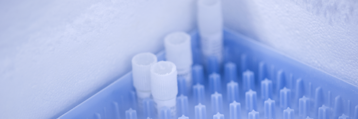 Vials in blue tray in liquid nitrogen, surrounded by vapor.