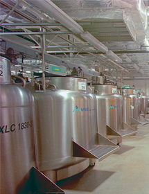 Large room full of liquid nitrogen cryopreservation tanks at biorepository.