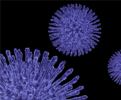 Closeup of a purple virus sphere made up of long, iridescent spikes.