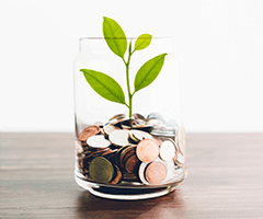 A clear glass filled with a green leave sprouting from a pile of coins.