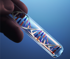 Fingers holding a test tube containing a silver, red, and blue DNA double helix.