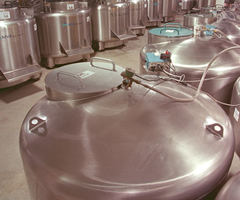 Rows of liquid nitrogen cryo storage tanks in biorepository.