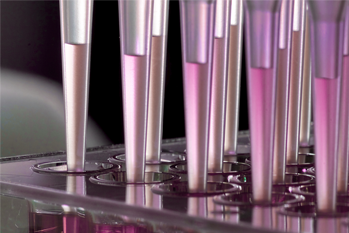 research in action, pipettes, pink, multi-channel, wells