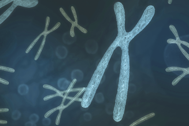 Blue hTERT DNA chromosome.