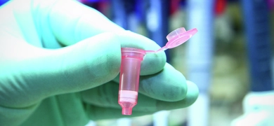 Gloved hand holding small, plastic, pink vial with flip-top lid open.