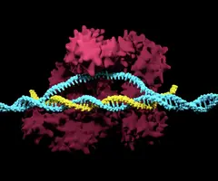 CRISPR-Cas9 system iStock-859573154.jpg