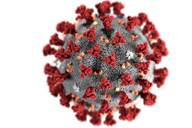 Gray coronavirus sphere with red and orange protruding particles.