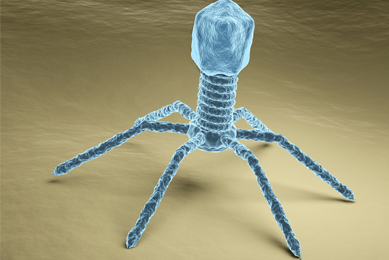 Six luminescent blue spider-like legs of a bacteriophage on a beige surface.
