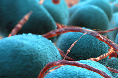 Closeup of teal-blue Escherichia coli balls covered in red yard-like strings.