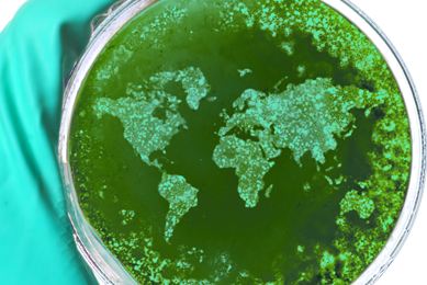 Gloved hand holding a petri dish containing green particles in the shape of the world�s continents.