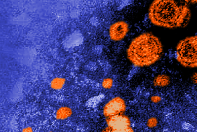 Grainy, blue and orange Hepatitis virus.