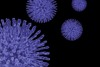 Closeup of purple virus spheres made up of long, iridescent spikes.
