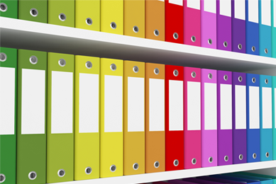 A row of binders with blank, white labels next to each other in a rainbow of colors.