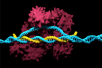 Yellow and light blue DNA double helix representing 3D render of the CRISPR-Cas9 genome editing system.