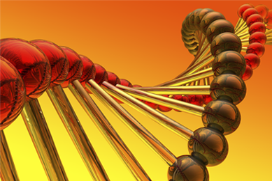 DNA strands made of dark red and brown balls on the sides and gold rods in the middle.