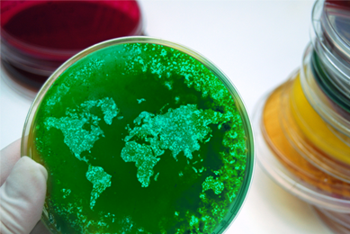 Gloved hand holding petri dish containing world map created in the media.