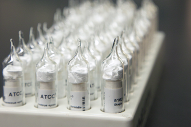 Close-up of rack of glass ampoules, labeled with "ATCC," containing