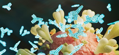 Antibodies surrounding coronavirus
