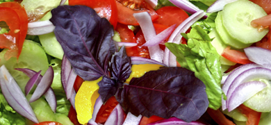 Multicolored salad including onions, cucumbers, tomatoes, yellow fruit, and green and purple lettuce.