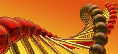 DNA strands made of dark red and brown balls on the sides and gold rods in the middle.