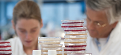 Scientists in lab coats seen over top of stacks of agar plates and small vials.