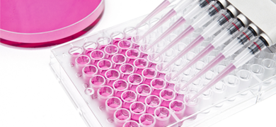 Multi channel pipettes, filling cell culture well plate with clear pink media.