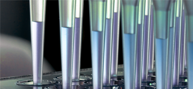 Multi channel pipettes, filling cell culture well plate with clear blue media.