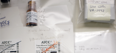 Media samples and papers in plastic bags.