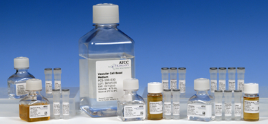 Clear capped and labeled bottles and vials containing clear and orange media, ATCC products labeled: vascular cell basal medium.