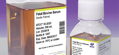 Clear capped and labeled bottles containing orange media, ATCC products labeled: fetal bovine serum.