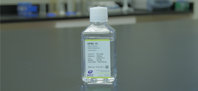 Capped and labeled bottle containing clear media, ATCC product: DPBS, 1X, ATCC 30-2200.