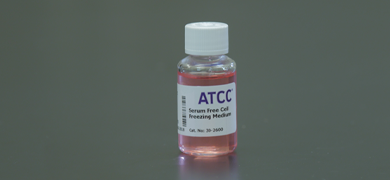 Capped and labeled bottle containing pink media, ATCC product: serum free cell freezing medium.