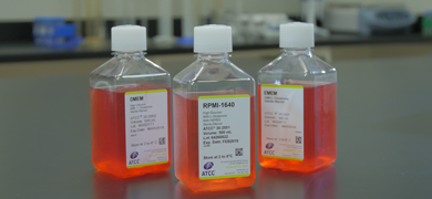 Capped bottles of orange media, labeled: DMEM; RPMI-1640 high glucose with L-glutamine with HEPES; and EMEM.
