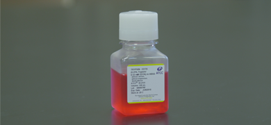 Capped bottle containing red media, labeled: Trypsin-EDTA.